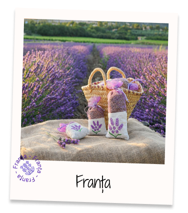 Franta